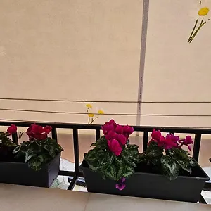  Apartment Center